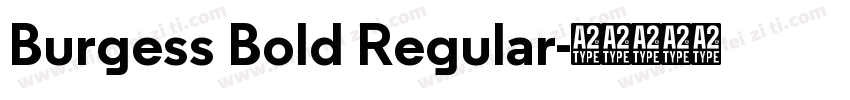 Burgess Bold Regular字体转换